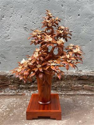 Cây Gỗ Sưa Bonsai, Tiểu cảnh bonsai Gỗ Sưa, Cây Sưa Bonsai, Cây Sưa Dáng Thác Đổ Bonsai