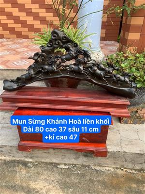 Tượng Bát Mã Truy Phong Gỗ Mun Sừng, Tượng Bát Mã Phi Thiên Gỗ Mun Sừng, Tượng Bát Mã Phong Thuỷ Gỗ Mun Sừng