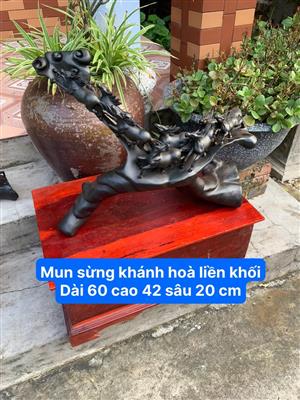Tượng Bát Mã Truy Phong Gỗ Mun Sừng, Tượng Bát Mã Phi Thiên Gỗ Mun Sừng, Tượng Bát Mã Phong Thuỷ Gỗ Mun Sừng