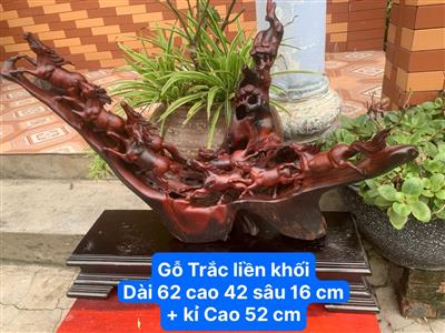 Tượng Bát Mã Truy Phong Gỗ Trắc, Tượng Bát Mã Phi Thiên Gỗ Trắc Liền Nguyên Khối, Tượng Bát Mã Phong Thuỷ Gỗ Trắc Đỏ Đen