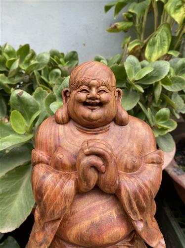 Gỗ Sưa