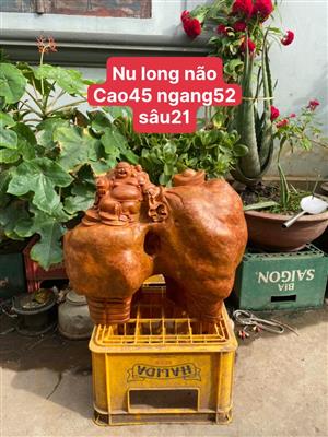 Tượng Phật Di Lặc Gỗ Nu Long Não Nguyên Khối, Tượng Di Lặc Nhất Phúc Ngồi Bao Tiền Gỗ Nu Long Não Quý Hiếm