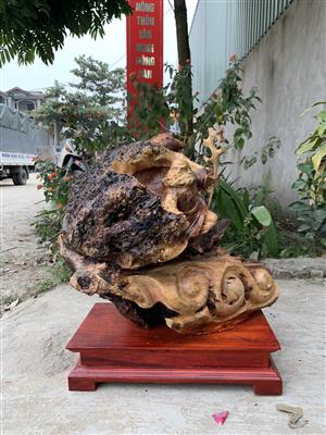 Tượng Đạt Ma Sư Tổ Gỗ Nu Cẩm Quý Hiếm, Tượng Đạt Ma Bay Gỗ Nu Cẩm Liền Khối