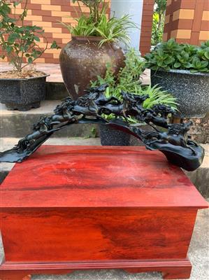 Tượng Bát Mã Phong Thủy Gỗ Mun Sừng Khánh Hòa, Cầu Mã Đáo Thành Công Gỗ Mun Sừng Liền Khối