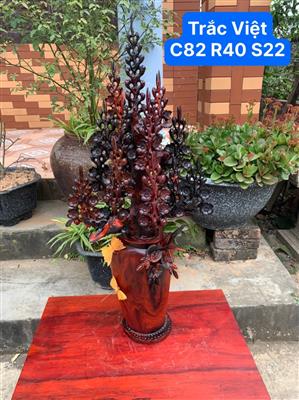 Bình Mai Lan Gỗ Trắc Việt Quý Hiếm