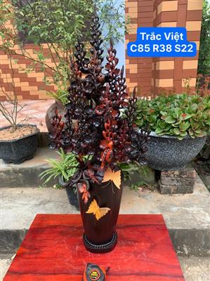 Bình Mai Tết Gỗ Trắc Việt