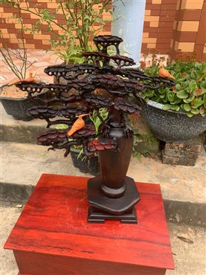 Bình Tùng Hạc Gỗ Trắc Việt, Bình Tùng Gỗ Trắc