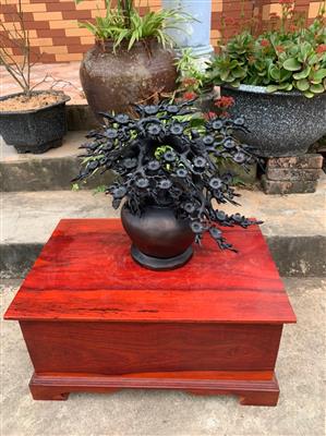 Bình Hoa Mai Gỗ Mun Sừng Quý Hiếm