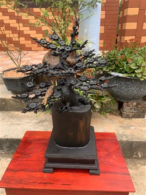 Bình Hoa Mai Gỗ Mun Sừng Quý Hiếm