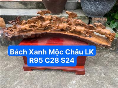 Tượng Bát Mã Phong Thủy Gỗ Bách Xanh Liền Nguyên Khối, Cầu Mã Đáo Thành Công Gỗ Bách Xanh Liền Nguyên Khối