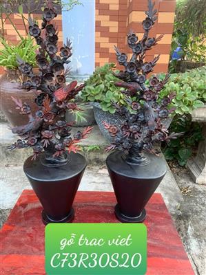Bình Hoa Mai Gỗ Trắc Đỏ Đen Giá Rẻ, Bình Mai Phong Thuỷ Gỗ Trắc Việt