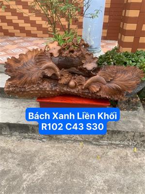 Tượng Cá Xiêm Gỗ Bách Xanh Liền Nguyên Khối, Tượng Cá Xiêm Đẹp Giá Xưởng