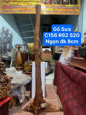 Trụ Gỗ Sưa Bắc Quý Hiếm, Cây Trụ Gỗ Sưa Giá Rẻ