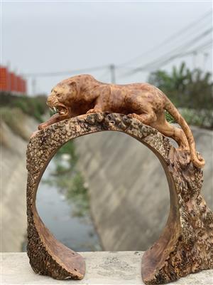 Báo Săn Gỗ Nu Ngọc Am Quý Hiếm, Báo Săn Mồi Gỗ Nu Ngọc Am