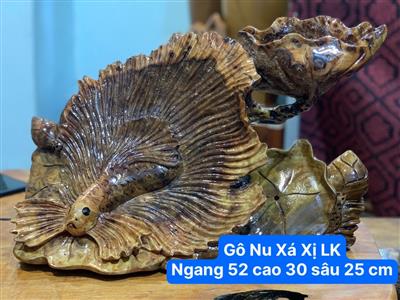 Cá Xiêm Gỗ Xá Xị Thơm, Cá Xiêm Độc Lạ, Cá Xiêm Thái Lan