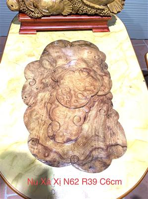Khay Trà Chóp Nu Xá Xị (Gù Hương ) Thơm Ngát